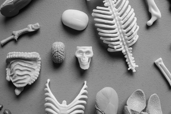 Inégalités dans les professions paramédicales : un état des lieux